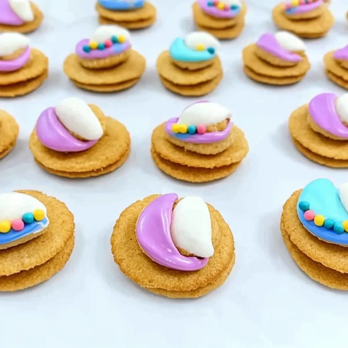 Delicious Clam Shell Cookies for Fun Summer Treats